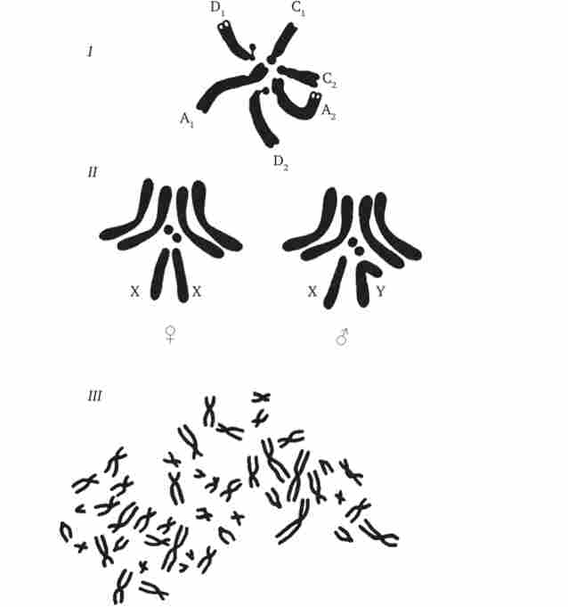 �������� ��������� ����� ����