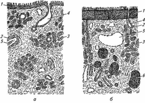 �������� �������� ������ ��������� ���� (�� ����������� � ���������)