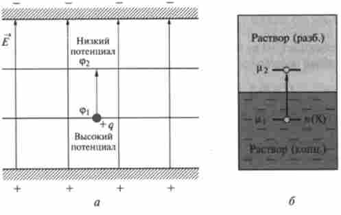 ������� �� �����������