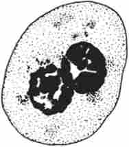 ����� ���������� ����� � ��������� ����������� ������쳿 ��� �� �������