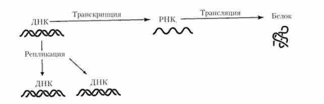 ������� �������� ������������������ ����������� ��������� ����������