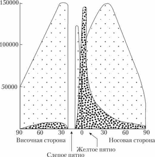 ������� ������� � �������� �� ������