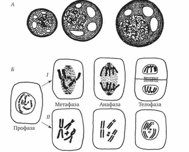 ����� ���������� ����� � ��������� ���������� �������� �����