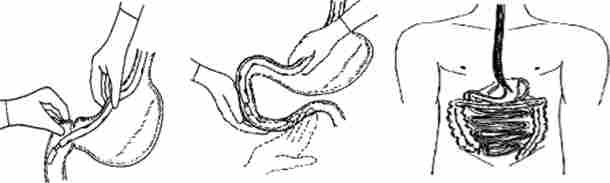 ���������������������� ���������. ����� ���������� ����� ������ - ̳�����