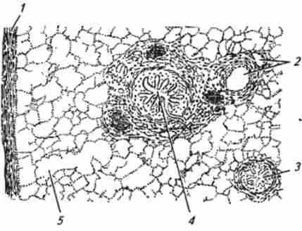 ������ ������� ������ ������ ������