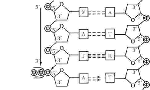 ������ �������� ��� �� �������� ����� ��� (������� �������� ��������, � ����� ��� ��������� ������� ���)