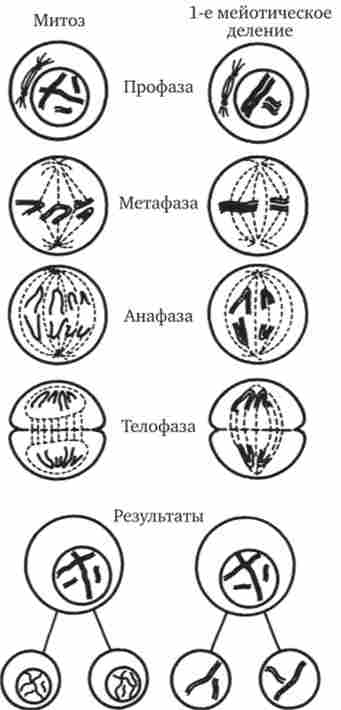 ��������� ������� ����- ������� (������������) ������ � �������