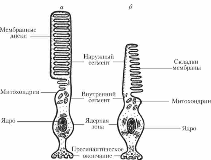 �������������