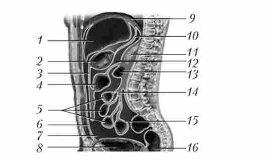 ������������ ����� ������� ���������