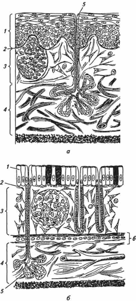 ����� ������ ������� �������� (�� �. �. ������� � �. �. ���������)