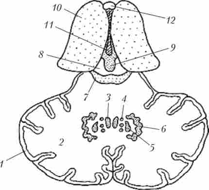 �������������� ��� ����� �������