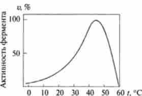 ���������� �������� ������������� ������� �� �����������