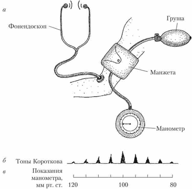 ����� ������� ���������� ������������ ����� � ������