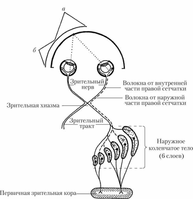 ������������ � ��� ����� ���� ����