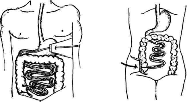 ��������� ����� ����� ����� ����������� �� �. �. �������