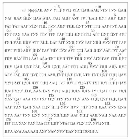 ������������ ������������ ���� ���� �-����������� ���� ������