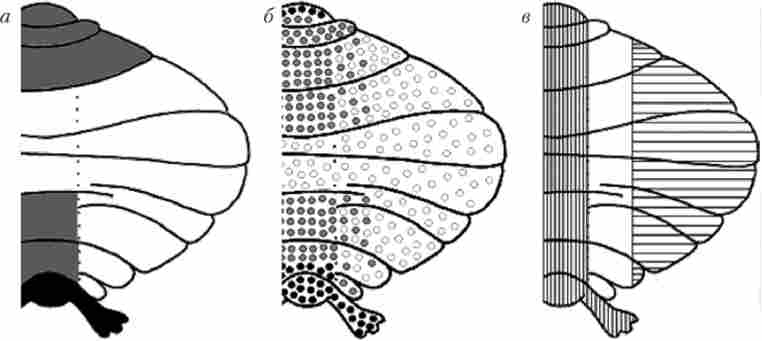 ������������� ������������ ����� ���� �������