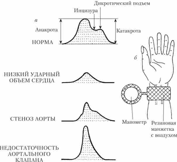 ����� � �������� �������� ���� � ��������� ����� � ���� � ��� ������ ��������� �������-������� ������� (�)
