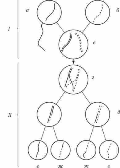 ������������ �� ������� ����������� ����������� �����