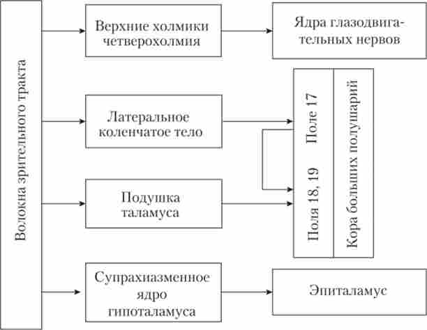 �������� ����� ������ � ������ ������ �������