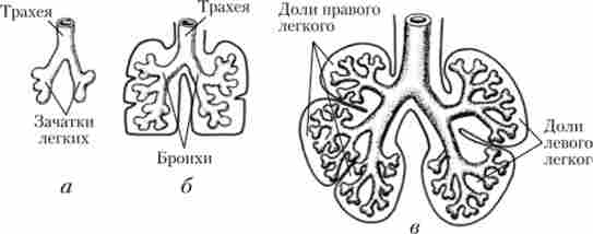 �������� ������� ������ � ������������ �����