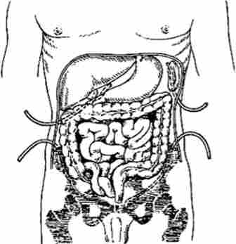 ����'����� ���� ���������� ������� ��������� ��� ��������������� ���������