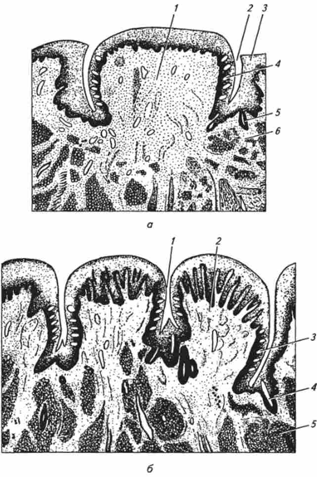 ������ ������� ���� ���� (�� �. �. Ҳ������)