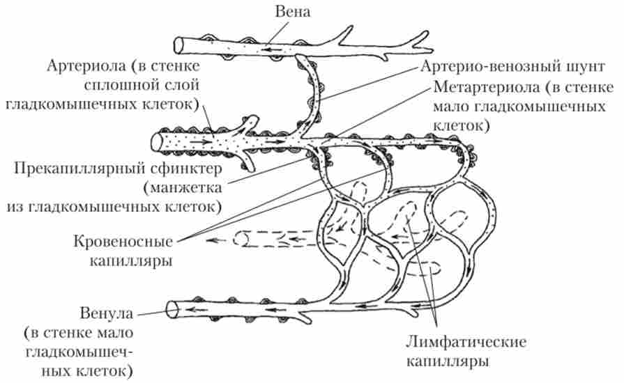 ������� �������� ������������������ �����