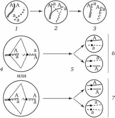 ������������ � ���������� �������