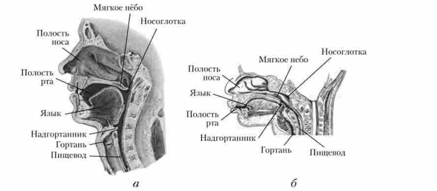 ��������� ����, ���� � ������� ������� ������ (�) � ��������������� (�)