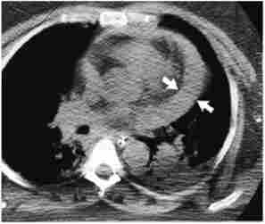 ����'������ ���������� ������ ������