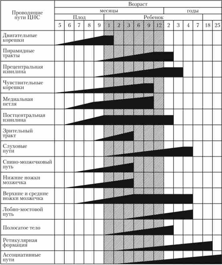 ������ ���������� �������� ������ ����� � �������� ��������� ������ (�� �. �. ���������)